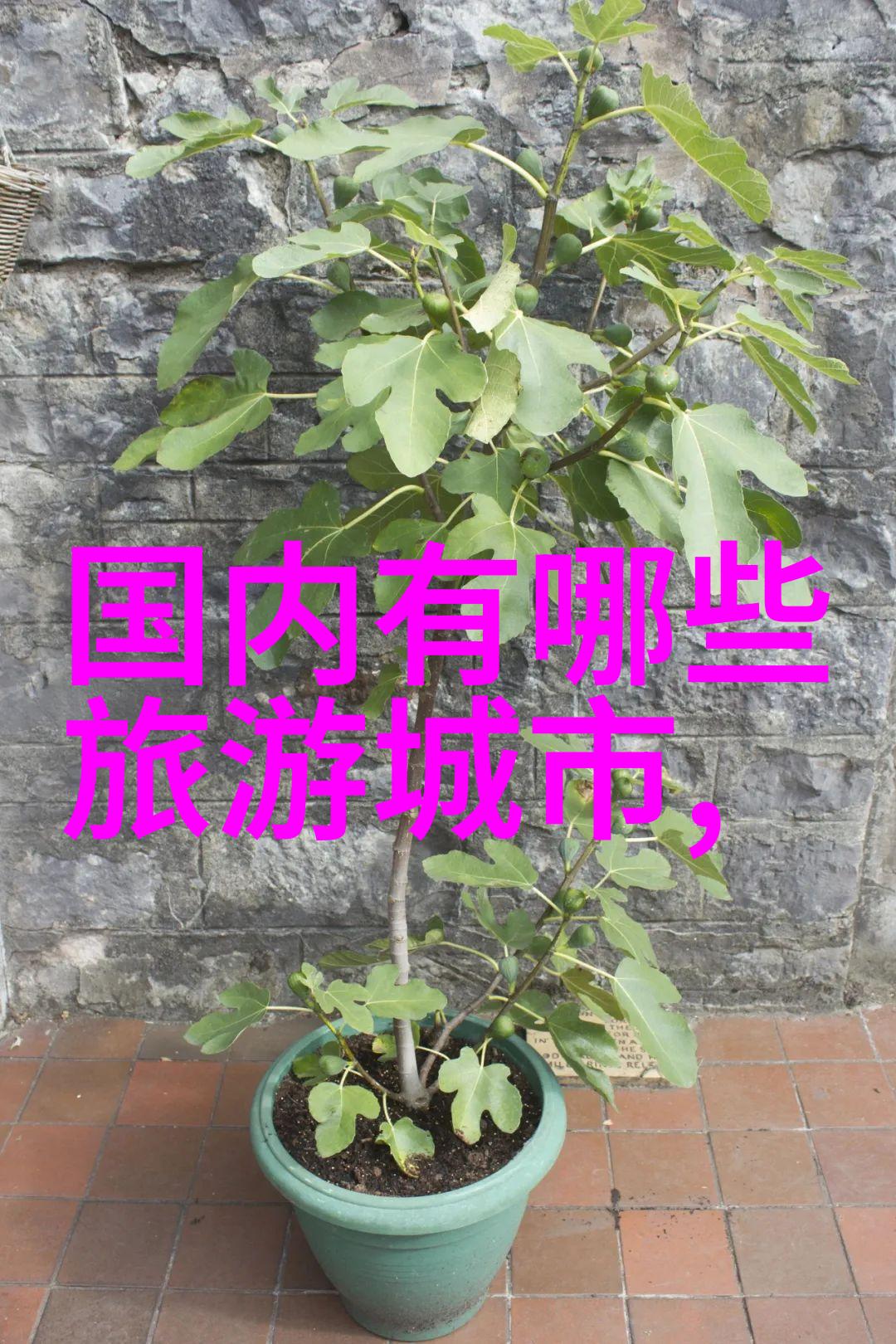 探索千岛湖美景2日游必备攻略