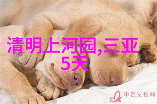 现在能办理出国旅游吗 - 海外梦想解锁新时代出境游的秘密