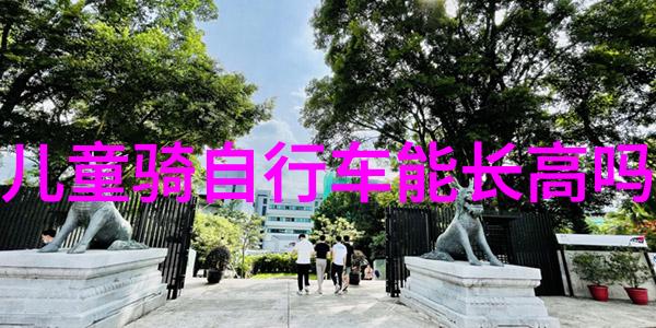 穿越时空体验古今交融的保山古迹之旅