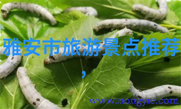 万人嫌他想开了奇特商家逆袭故事