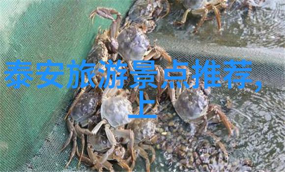 云南10日游跟团报价-探索大理香格里拉昆明石林之旅一款完美的云南十日跟团行程