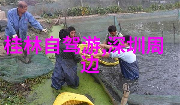 2022年去俄罗斯旅行安全性考量政治紧张与旅游风险评估