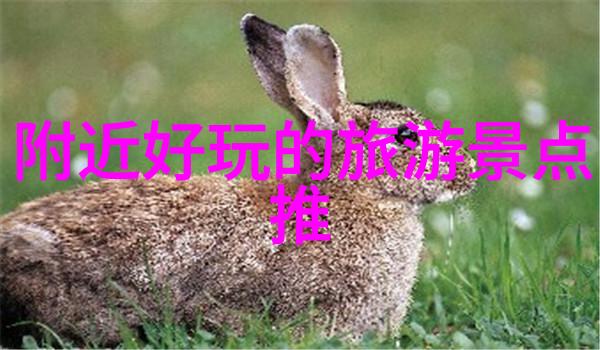 广州自驾游穿梭在时间的纵横线上寻找城市的内在脉搏