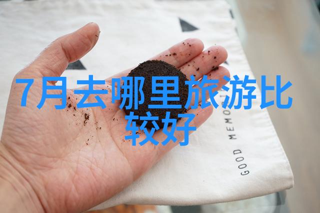 北京皇家行故宫颐和园与天安门广场