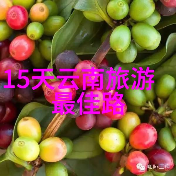 学长的点滴教诲一支笔背后的成长故事