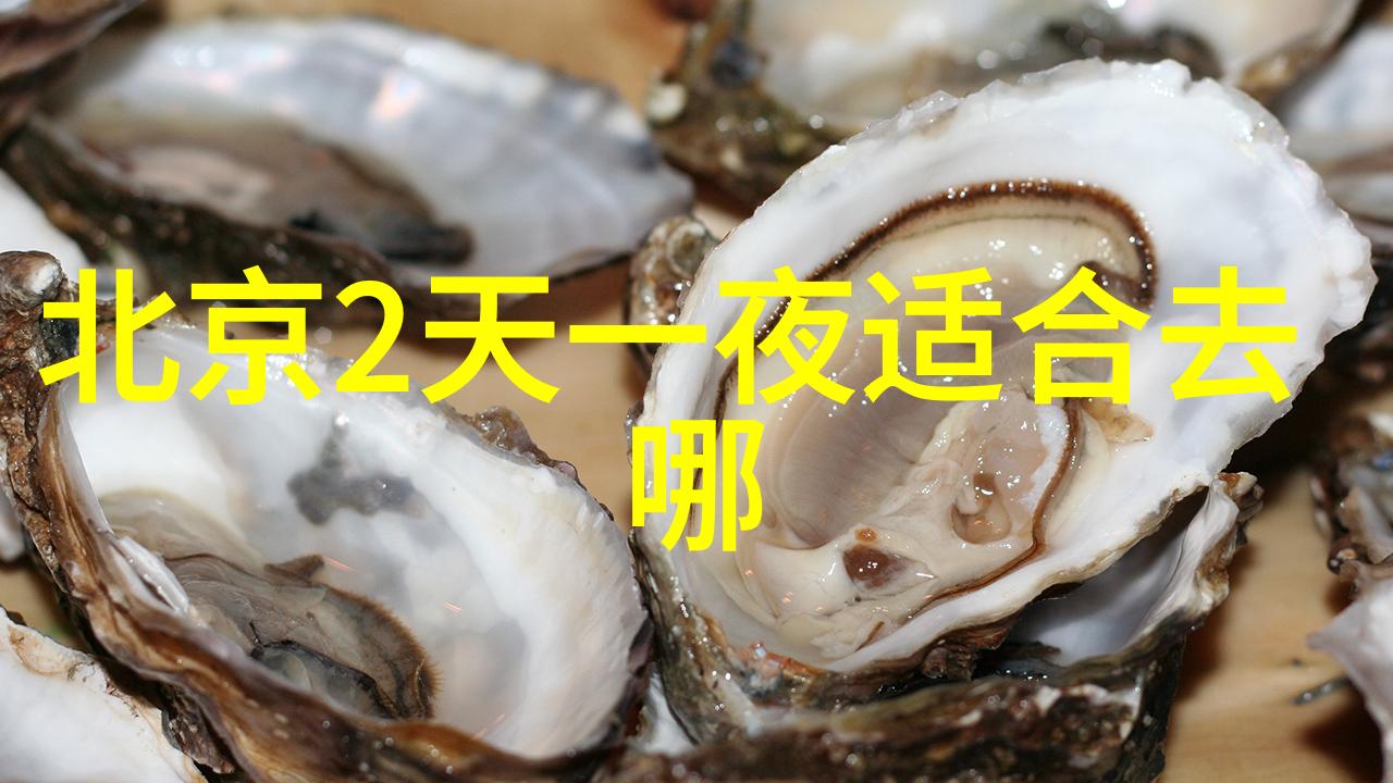 798艺术区北京现代艺术的热bed