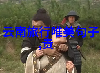户外探索小班的绿茵奇遇