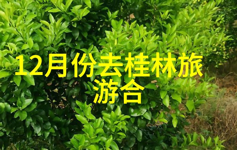 西安旅游必去景点推荐我来教你如何在西安玩出色