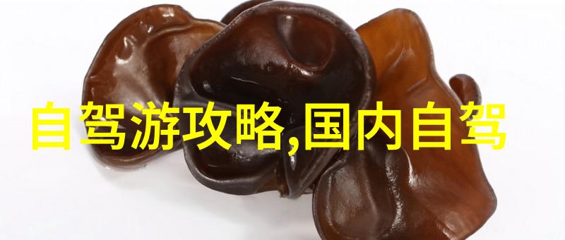 探索旅行梦想旅游局招聘要闻解析