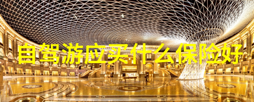 青春环游记第三季的秘密