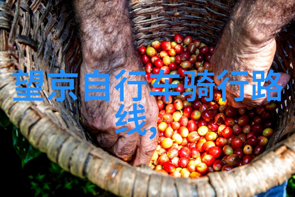 探秘华山之巅陕西省的天界遗址