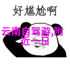 味蕾漫步探索国土美食的风情画卷