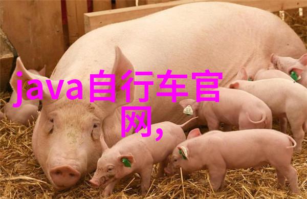 西湖畔的诗意探索杭州最美丽的旅游胜地