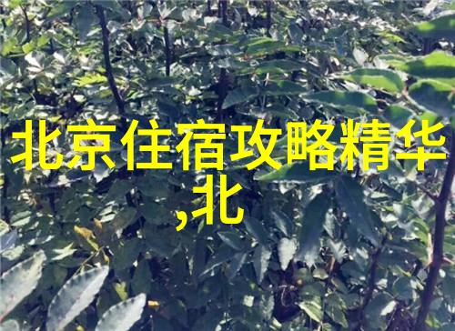 苏州旅游攻略必去景点推荐古典园林探秘水乡风韵