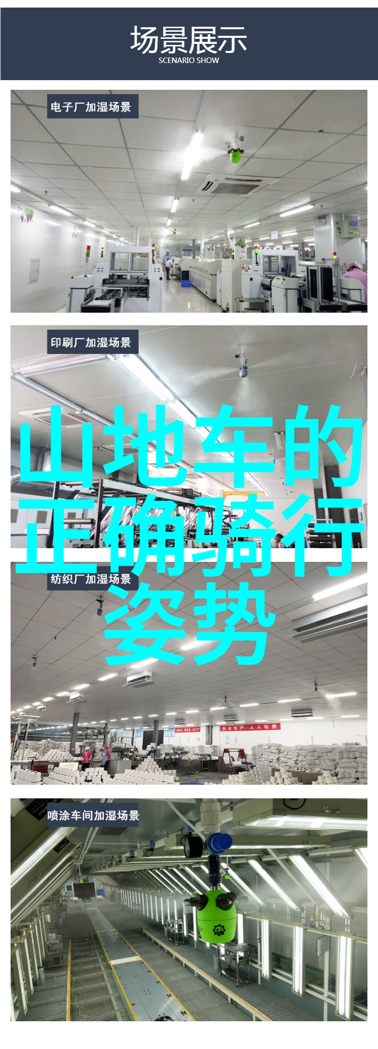 探索云南西双版纳的五日奇遇雨林热带花园与当地文化体验