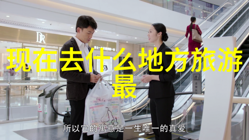 荧的新生活小内与散兵的扑克之旅