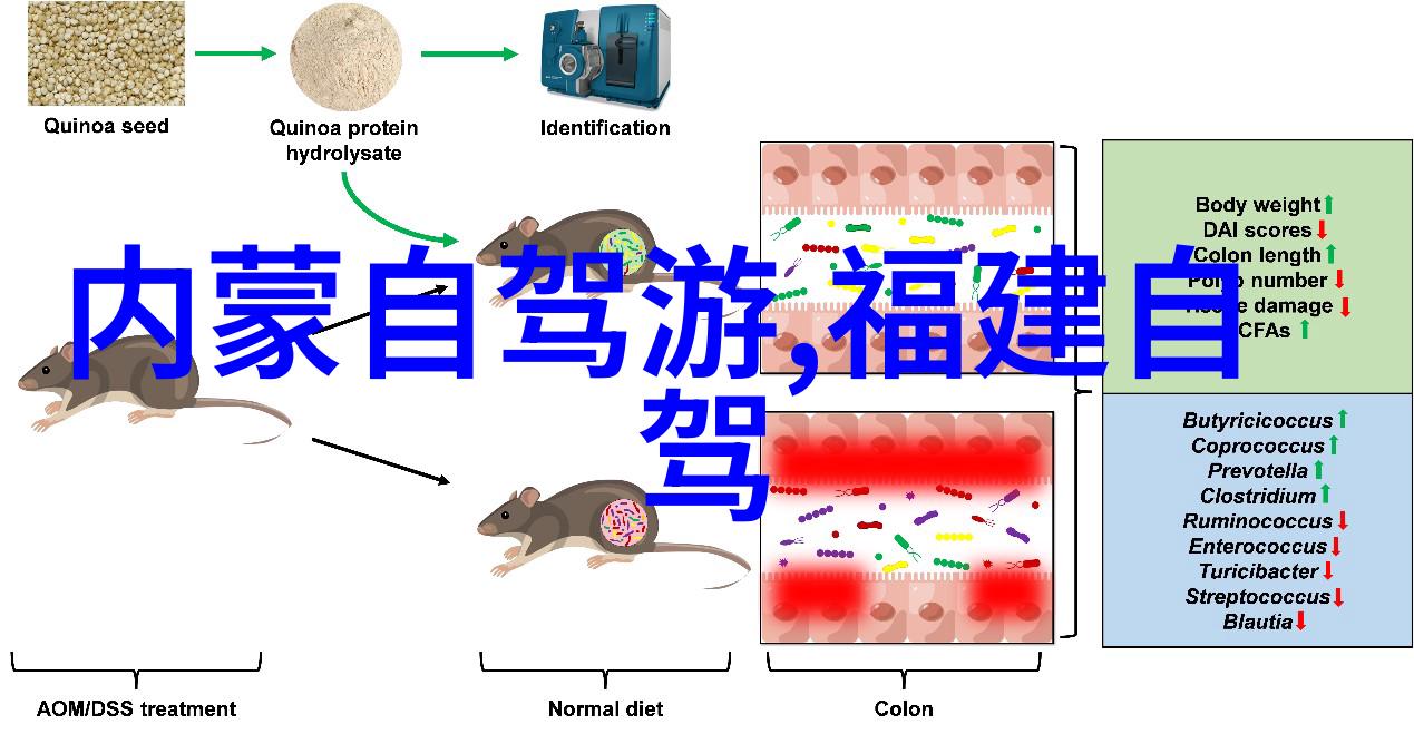 哪个城市美食最多我眼中的美食天堂探寻那些口味爆炸的都市
