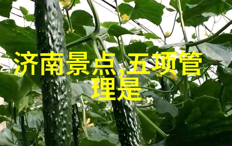 户外探险中的安全措施有哪些需要注意