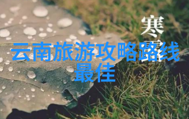 探秘高端奢华与经济实惠上海各大商圈住宿优选