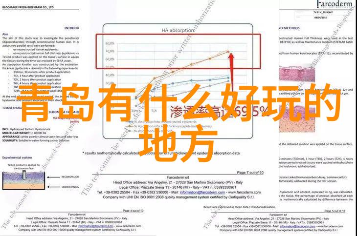 公司团队建设拓展活动提升企业协作效率的有趣方法