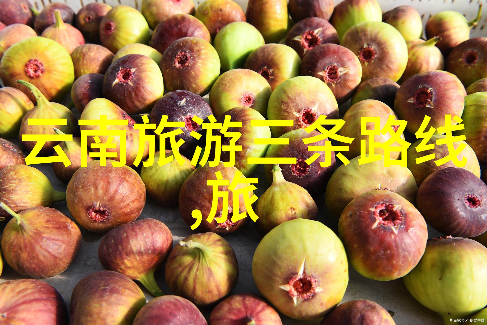 携程旅游-云南美丽迷人探秘大理洱海与香格里拉的神秘魅力