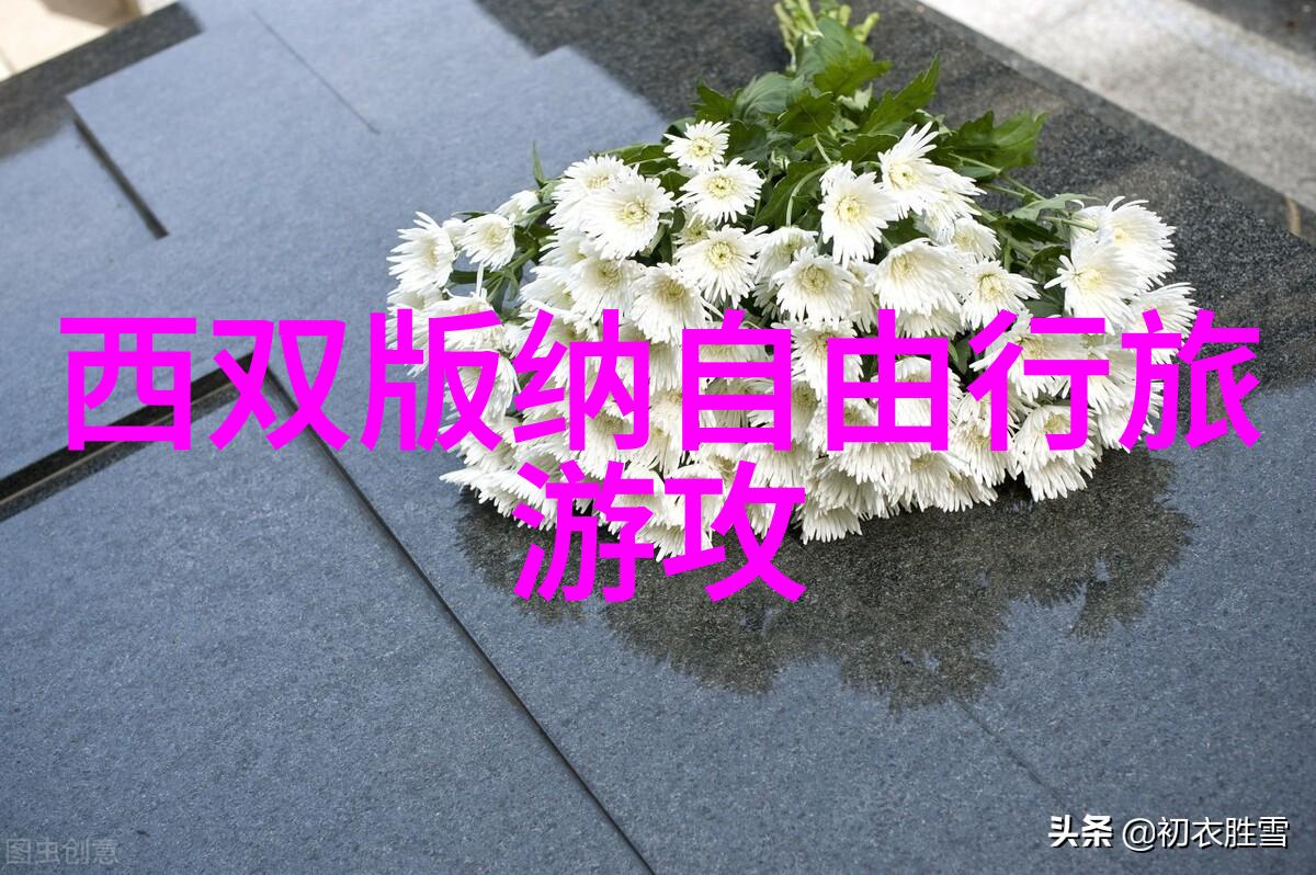公路探险如何选择合适的自行车伴侣
