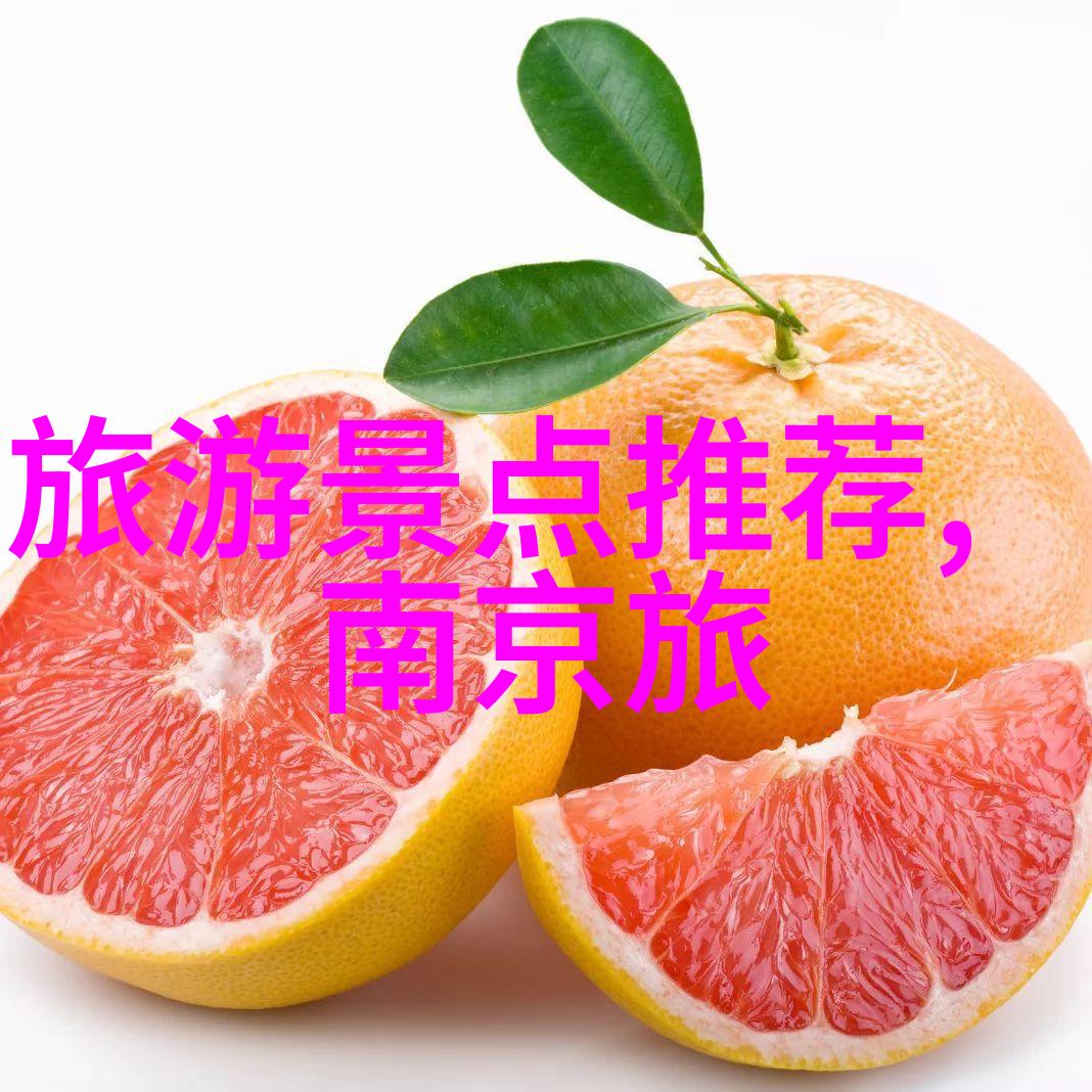 末日重生种田去生存在废土中的复仇种植者