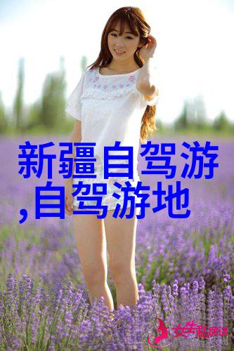 浙江5日游探秘东方之珠的奇迹与魅力