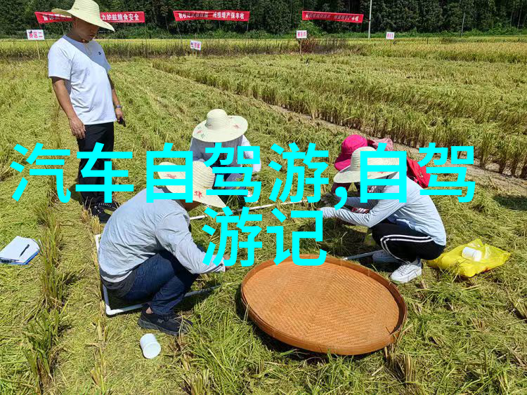 天下十佳揭秘中国最美景区的排名之谜