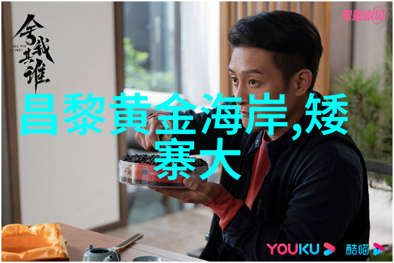 夜幕下的保定寻梦酒店篇章