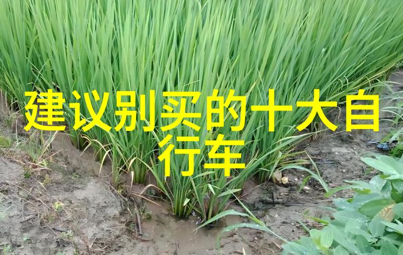 探秘中国最大的小吃街北京后海老字号的味道传说