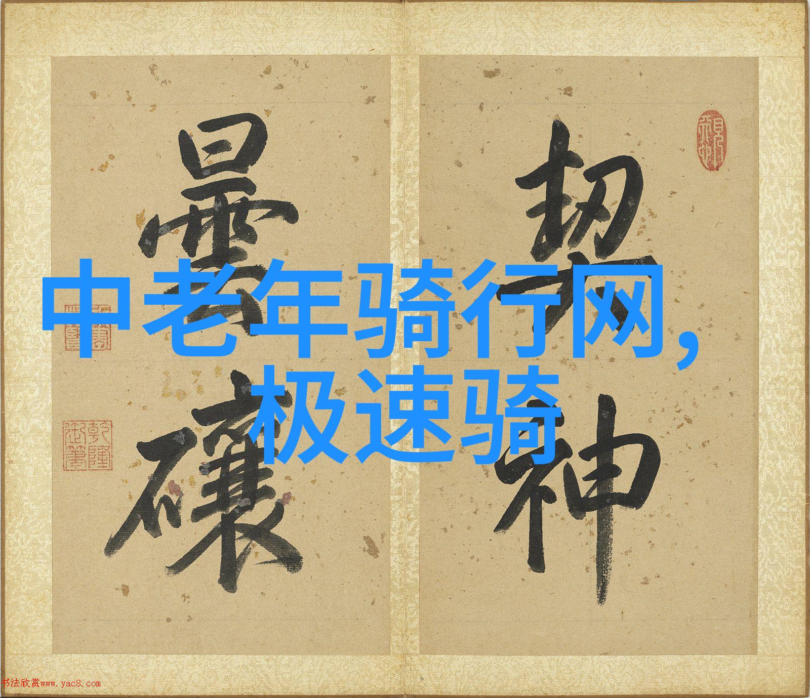 公路骑行选什么自行车我是如何挑选到那台心仪的钢铁战马
