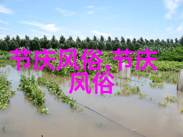 简要介绍江西一处优秀的旅游资源或别具一格的风土人情