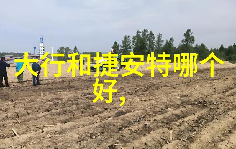 羊群中的孤狼为什么这次318川藏骑行会有人被狼攻击并最终不幸