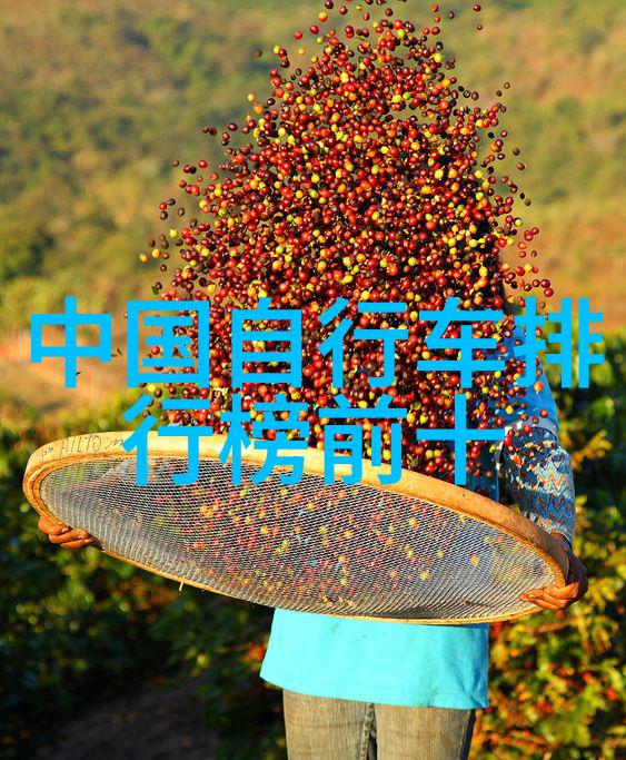 女性骑自行车的好处我为什么每天都在骑上我的小黄车出发