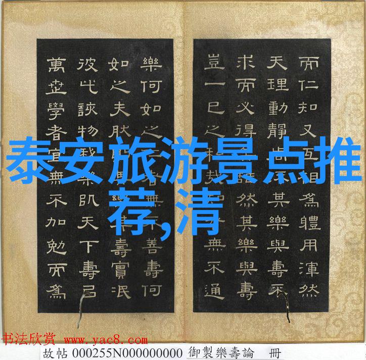 探索职场旅游局的招聘秘密