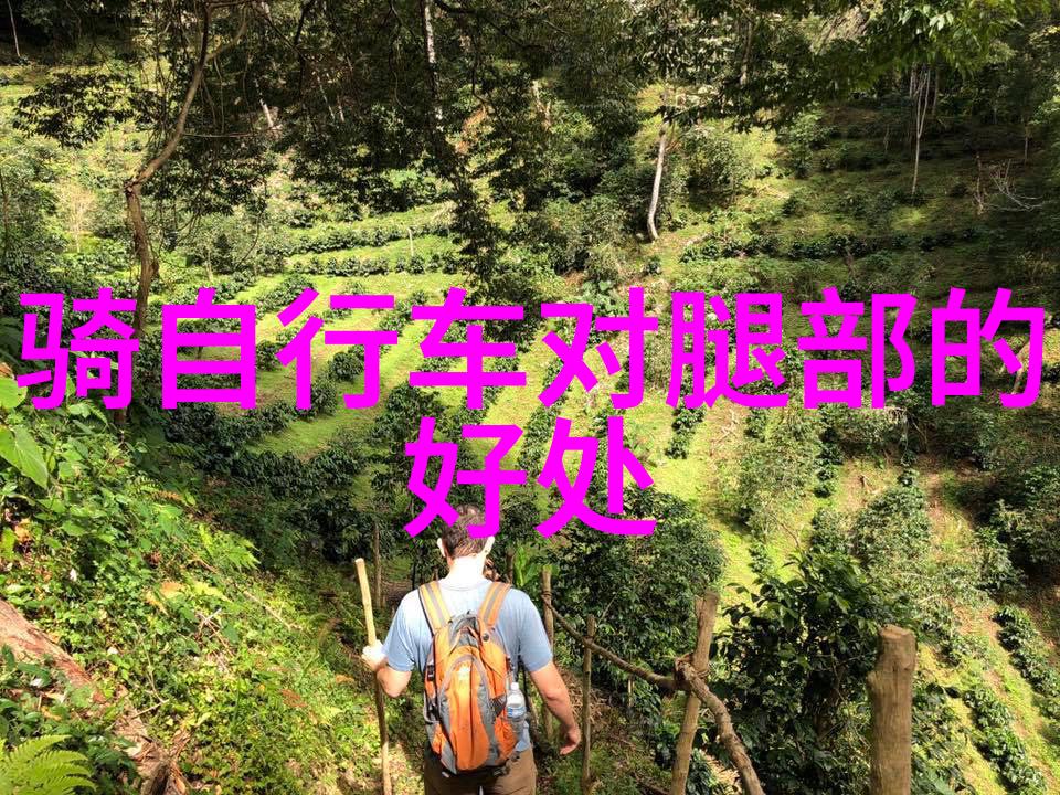 探索地球上的乐土那些让人心跳加速的奇迹之地