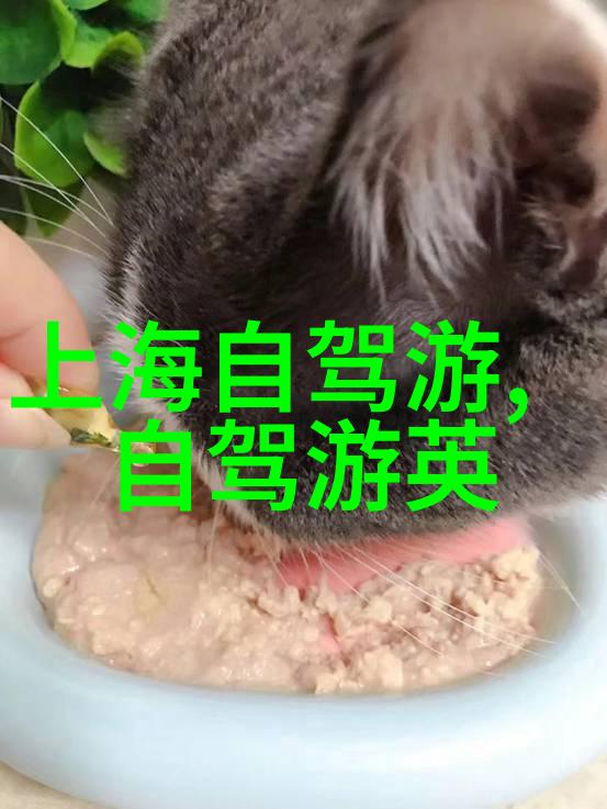 每天骑行26公里身体素质变化-铁杆变身一周26公里的骑行日记