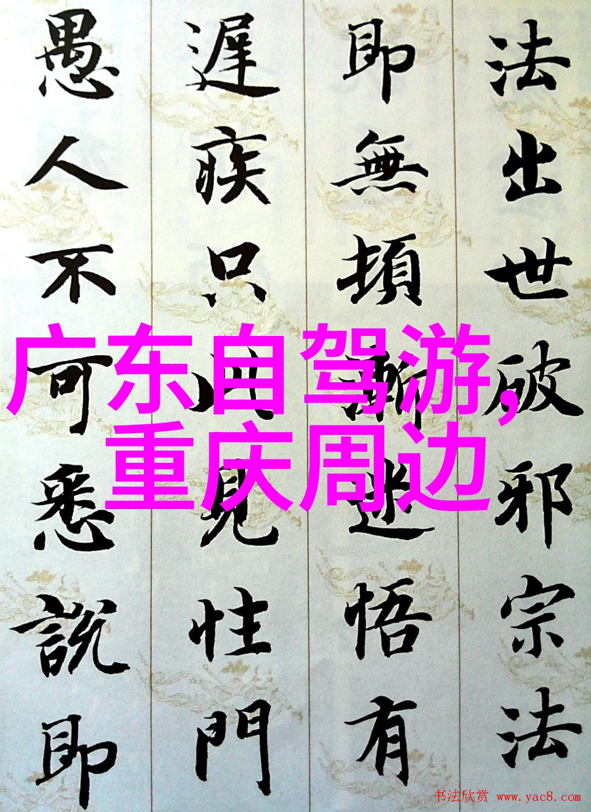 社区连结加入当地自联享受更丰富的社交活动与文化体验