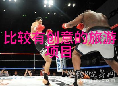 出国去哪个国家比较好-探索全球宜居之地从语言到生活质量的全面评估