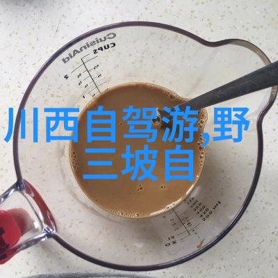 自驾游必去景点探索中国美丽的边疆之旅