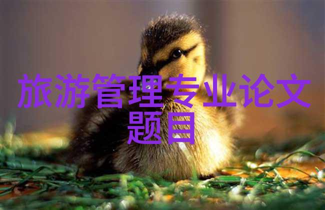 贵州旅游攻略必去景点推荐 - 贵州探秘揭秘那些隐藏在云雾中的奇迹