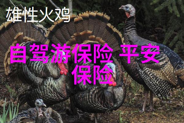 国际旅途无忧揭晓那些提供最佳服务的出国目的地