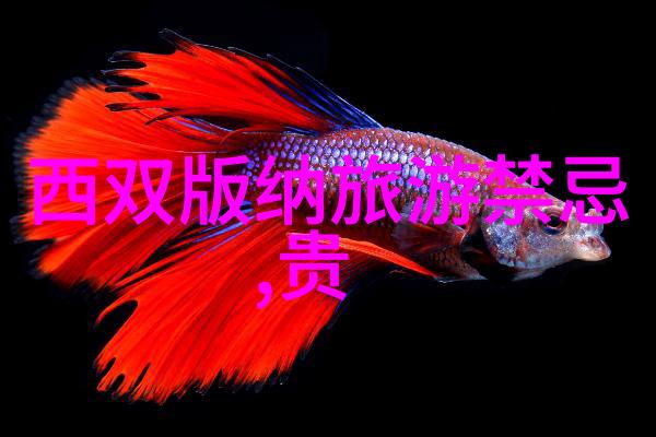 赣州美丽风光探索大足石刻与瑞金红土之旅