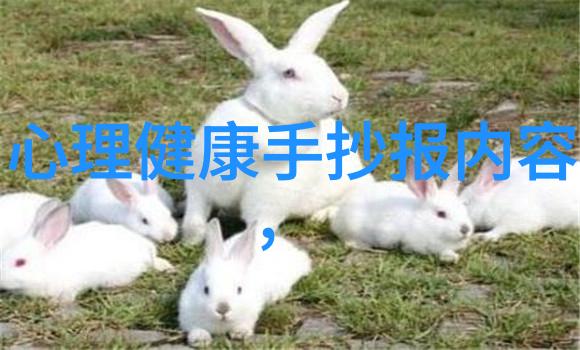 探索安吉的自然奇迹碧波荡漾的湖泊与翠峦绕远