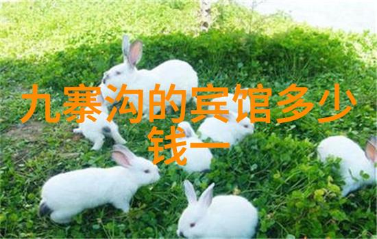 珠海背后的自然奇观金湾湿地公园探秘录