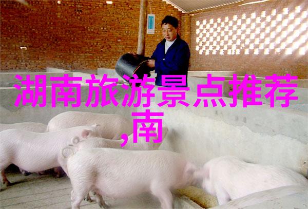 品味不同文化之中的一份子详解各大洲中餐饮文化差异与特色