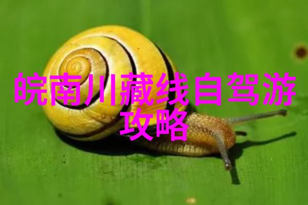 广州之旅探索美食与历史的住宿攻略