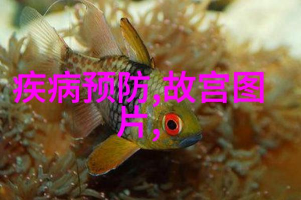 在厦门进行夜生活哪些地方最受欢迎