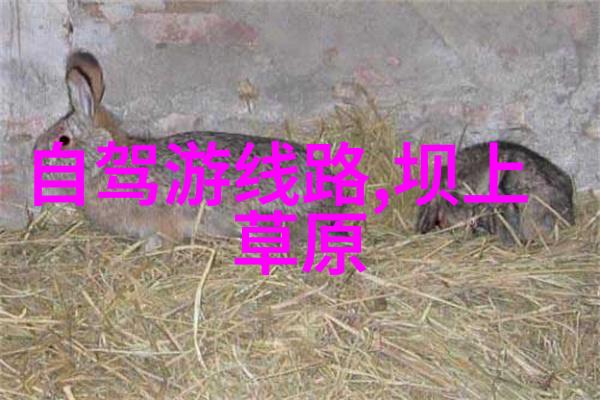 淄博二月份最佳旅游目的地推荐探索春季爬山胜地